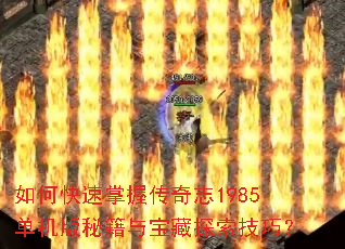 ��ο������մ���־1985�������ؼ��뱦��̽�����ɣ�