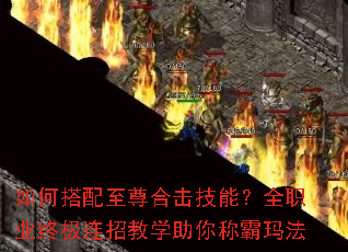 ��δ�������ϻ����ܣ�ȫְҵ�ռ����н�ѧ����ư��귨