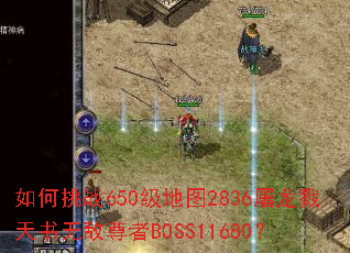 �����ս650����ͼ2836����¾�����޵�����BOSS11680��