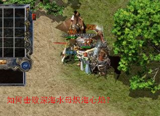 ��λ����ˮĸ�㺣���棿