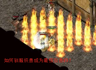 ���ѱ�����޳�Ϊ��ǿԦ��ʦ��