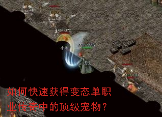 ��ο��ٻ�ñ�̬��ְҵ�����еĶ������
