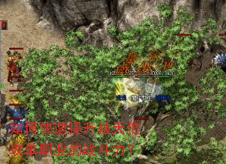 ��ο����������챶����ְҵ��ս������