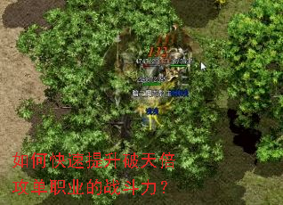 ��ο����������챶����ְҵ��ս������