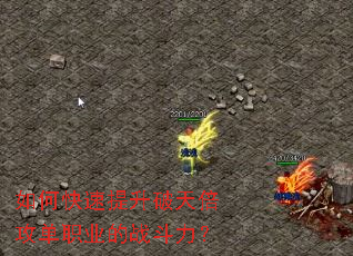 ��ο����������챶����ְҵ��ս������