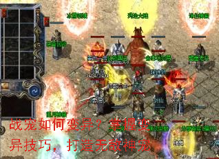 ս����α��죿���ձ��켼�ɣ������޵����