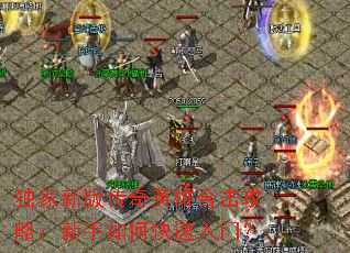 �����°洫��Ӣ�ۺϻ����ԣ�������ο������ţ�