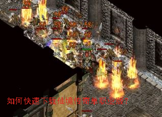 ��ο��������ɾ����浥ְҵ�棿