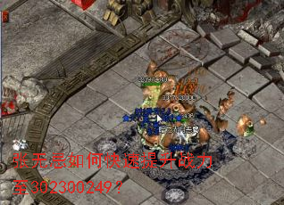 ���޼���ο�������ս����302300249��