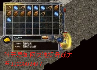 ���޼���ο�������ս����302300249��