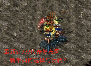 ����sf999���淢�������������ѡ������ת��