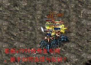 ����sf999���淢�������������ѡ������ת��