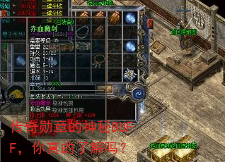 ����ѫ�µ�����BUFF��������˽���