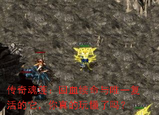 �����������Ѫ������Ψһ���������������涮����