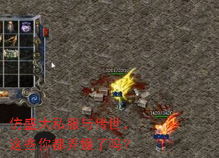 ��ʢ��˽���봫������Щ�㶼Ū������