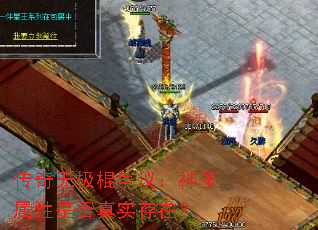 �����޼������飺��ʥ�����Ƿ���ʵ���ڣ�