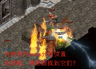 �������boss�ֲ�λ��ȫ���ԣ��������ҵ����ǣ�