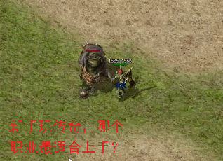�����洫�棬�ĸ�ְҵ���ʺ����֣�