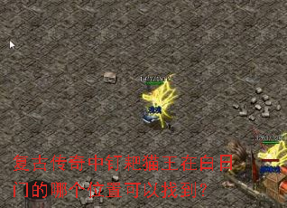 ���Ŵ����ж���è���ڰ����ŵ��ĸ�λ�ÿ����ҵ���