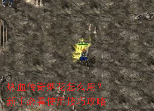 ��Ѫ�����̻���ô�ã����ֱؿ�ʹ�ü��ɹ���