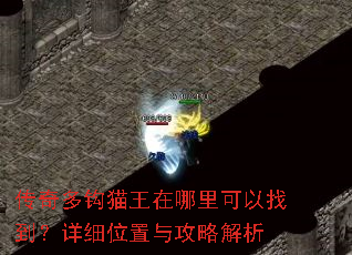 ����๳è������������ҵ�����ϸλ���빥�Խ���