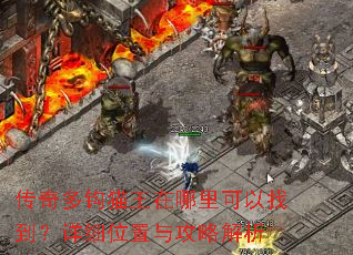 ����๳è������������ҵ�����ϸλ���빥�Խ���