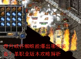 ����Ͽ��֩���ܱ�����Щװ������ְҵ�汾���Խ���