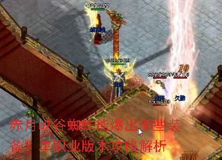 ����Ͽ��֩���ܱ�����Щװ������ְҵ�汾���Խ���
