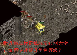 新开热血传奇私服发布网大全:如何快速提升角色等级? 新开热血传奇私服发布网大全:如何快速提升角色等级?