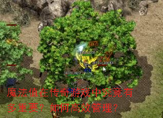 魔法值在传奇游戏中究竟有多重要?如何高效管理? 魔法值在传奇游戏中究竟有多重要?如何高效管理?