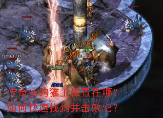 传奇多钩猫王位置在哪?如何快速找到并击败它? 传奇多钩猫王位置在哪?如何快速找到并击败它?