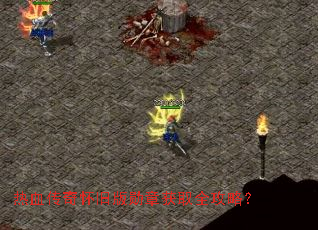 ��Ѫ���滳�ɰ�ѫ�»�ȡȫ���ԣ�