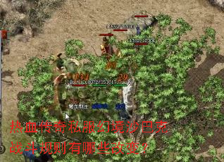 ��Ѫ����˽���þ�ɳ�Ϳ�ս����������Щ�ı䣿