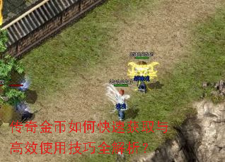 传奇金币如何快速获取与高效使用技巧全解析? 传奇金币如何快速获取与高效使用技巧全解析?