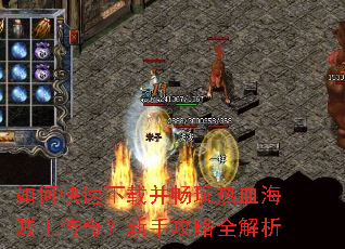 如何快速下载并畅玩热血海贼王传奇?新手攻略全解析 如何快速下载并畅玩热血海贼王传奇?新手攻略全解析