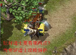 玩好道士要看哪两点?传奇SF道士攻略解析 玩好道士要看哪两点?传奇SF道士攻略解析