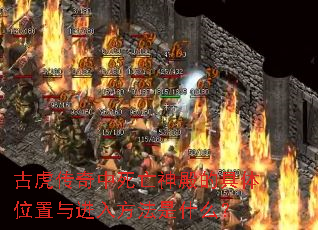 �Ż��������������ľ���λ������뷽����ʲô��