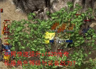 ��ο�������sf520����˽����ɫ�ȼ���װ��ս����