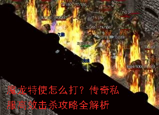 ħ����ʹ��ô�򣿴���˽����Ч��ɱ����ȫ����