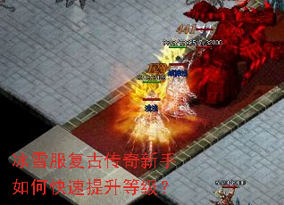 ��ѩ�����Ŵ���������ο��������ȼ���