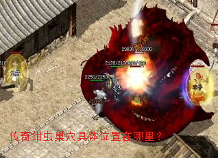 ����ǯ�泲Ѩ����λ�������