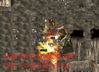��Ѫ���滳�ɰ�ѫ���к����ã���λ�ȡ��������