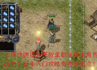 如何快速提升无赦单职业版本角色战力?新手入门攻略有哪些要点? 如何快速提升无赦单职业版本角色战力?新手入门攻略有哪些要点?