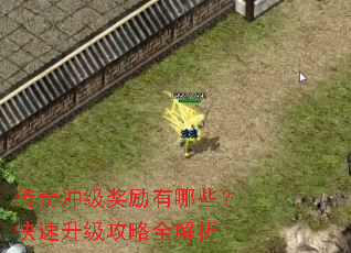 ����弶��������Щ��������������ȫ����