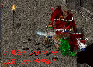 ������Ŷ�Э���п��ٳɳ�Ϊ����ר�ң�