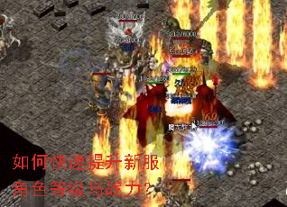 如何快速提升新服角色等级与战力? 如何快速提升新服角色等级与战力?