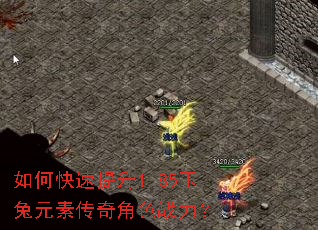 如何快速提升1.85玉兔元素传奇角色战力? 如何快速提升1.85玉兔元素传奇角色战力?
