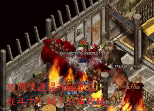 如何快速提升SD敢达战斗力?新手必看攻略 如何快速提升SD敢达战斗力?新手必看攻略