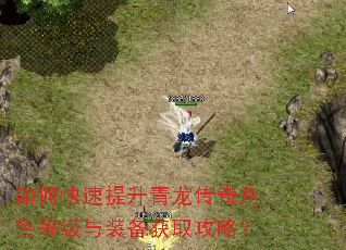 如何快速提升青龙传奇角色等级与装备获取攻略? 如何快速提升青龙传奇角色等级与装备获取攻略?