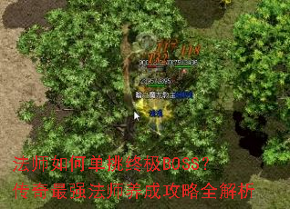 法师如何单挑终极BOSS?传奇最强法师养成攻略全解析 法师如何单挑终极BOSS?传奇最强法师养成攻略全解析